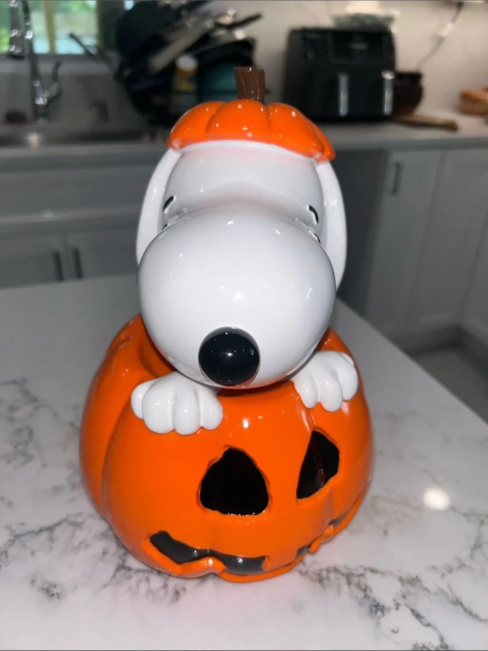 Peanuts Snoopy Halloween Pumpkin Decor
